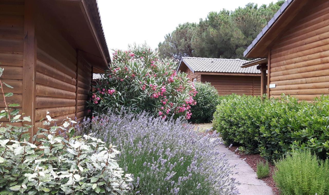 Parc Residentiel Les Hauts De Baldy Agde Eksteriør bilde